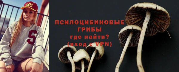 гашик Балабаново