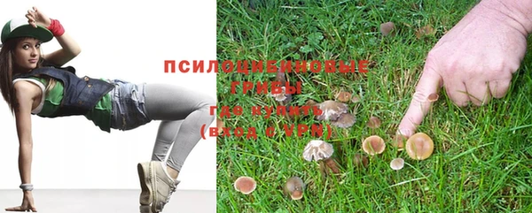 гашик Балабаново