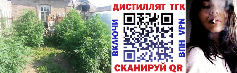 OMG ONION  наркошоп  Семилуки  ТГК Wax 